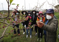 2021.04.23(금) 홍성군의회, 농촌일손돕기